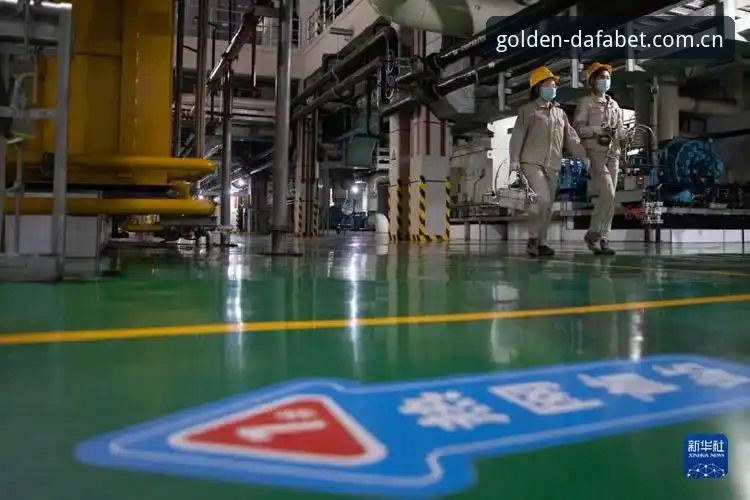 大发黄金版安全吗 大发黄金体育平台安全吗?多维度深度评测与实战体验报告